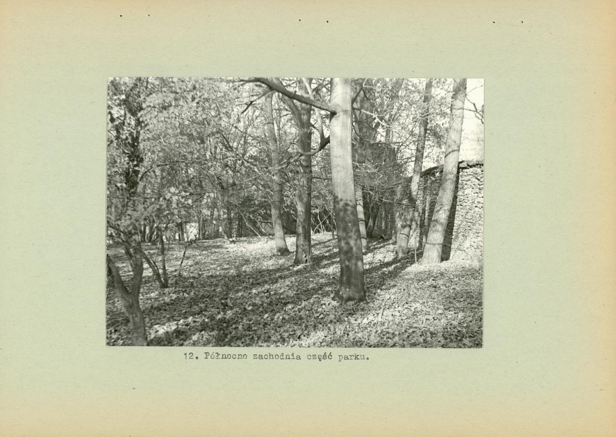 Ewidencja parkowa, skan nr 26