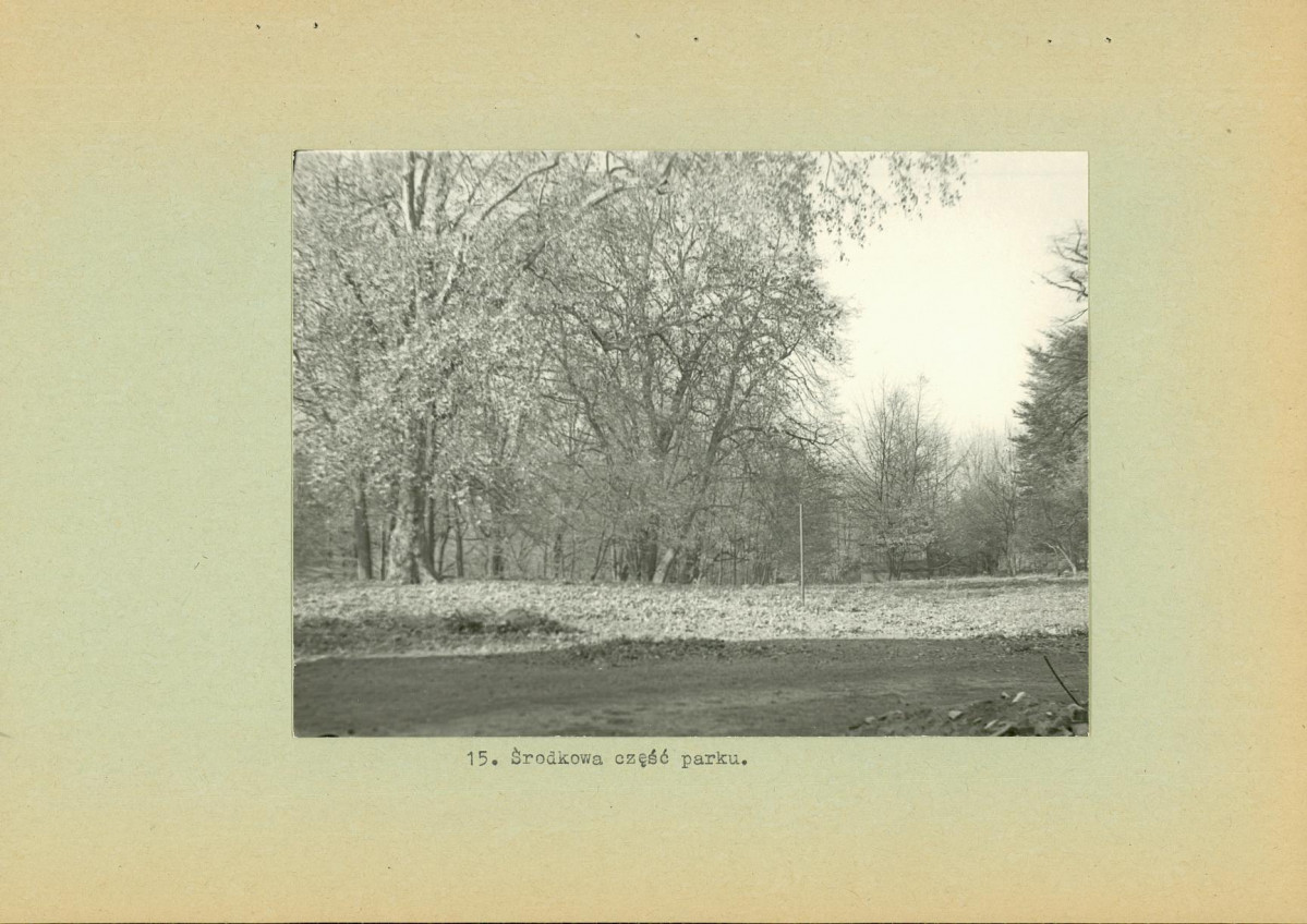 Ewidencja parkowa, skan nr 29