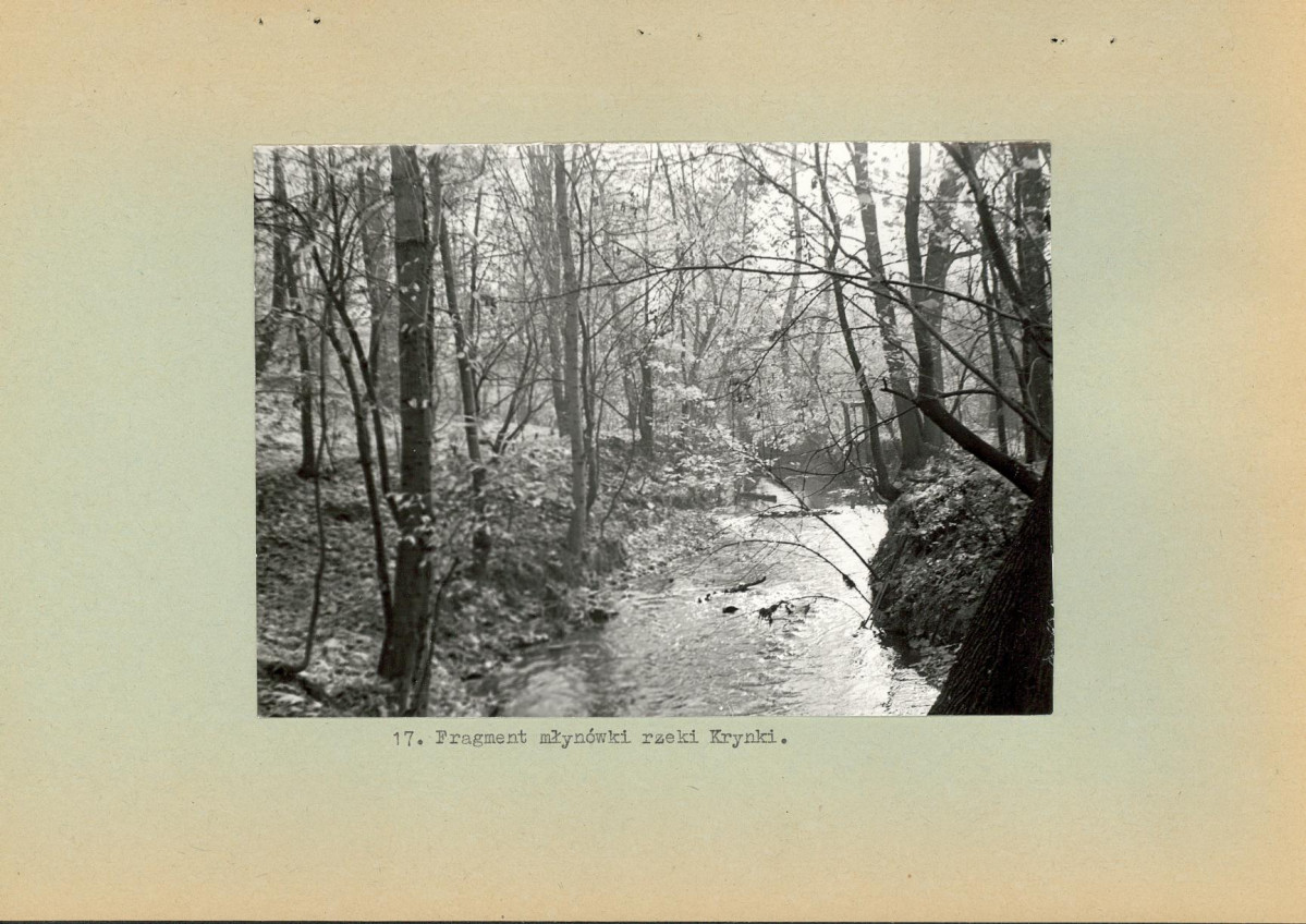 Ewidencja parkowa, skan nr 31