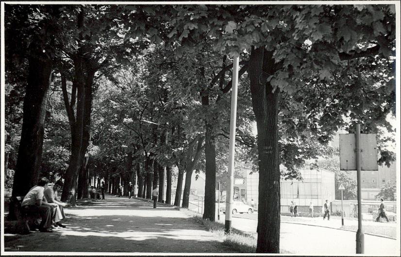 Ewidencja parkowa, skan nr 4