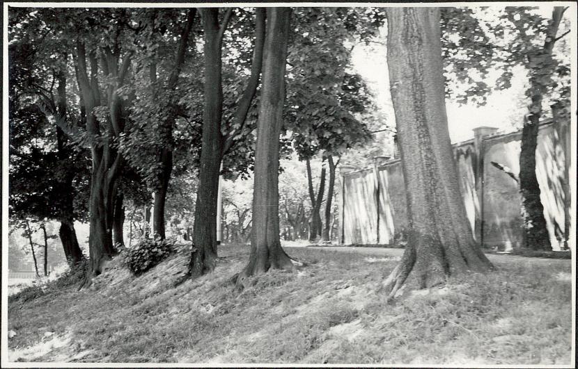 Ewidencja parkowa, skan nr 6