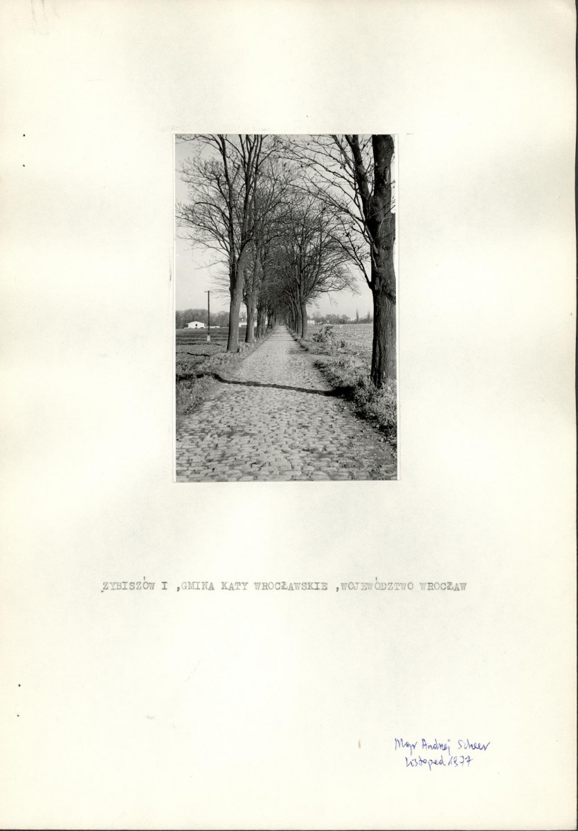 Ewidencja parkowa, skan nr 3