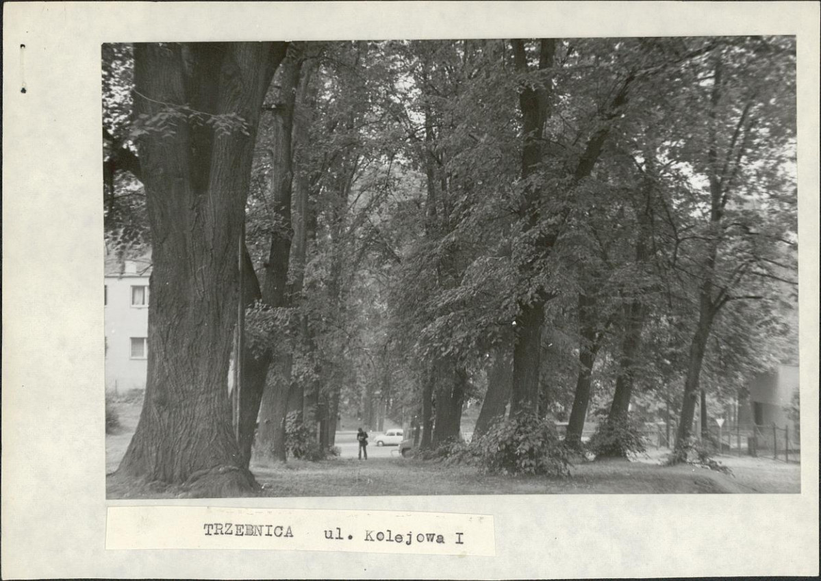 Ewidencja parkowa, skan nr 2