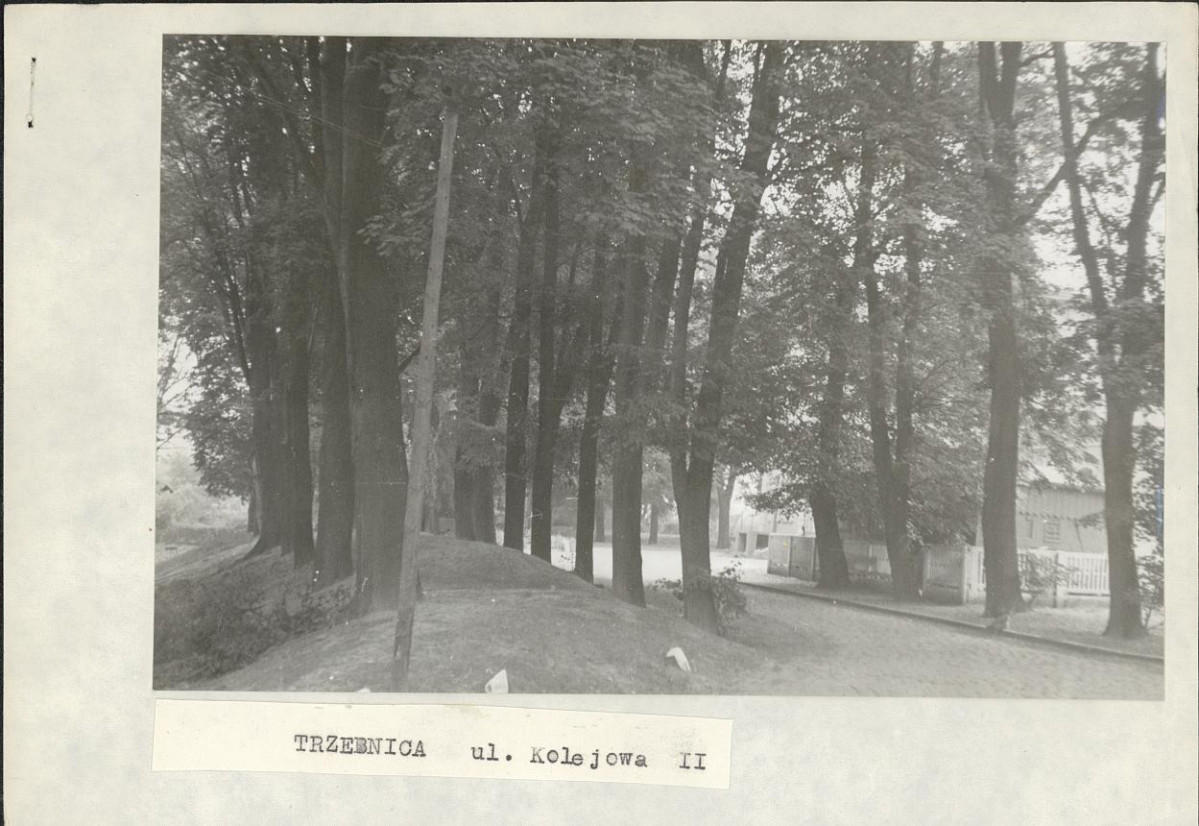 Ewidencja parkowa, skan nr 2