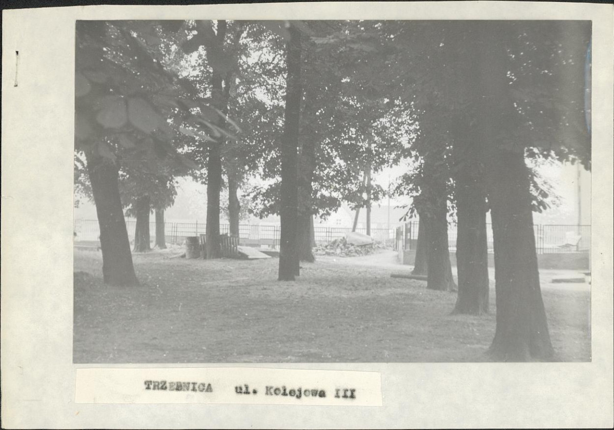 Ewidencja parkowa, skan nr 2