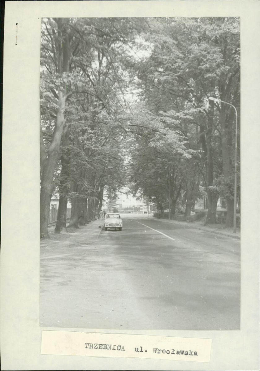 Ewidencja parkowa, skan nr 2