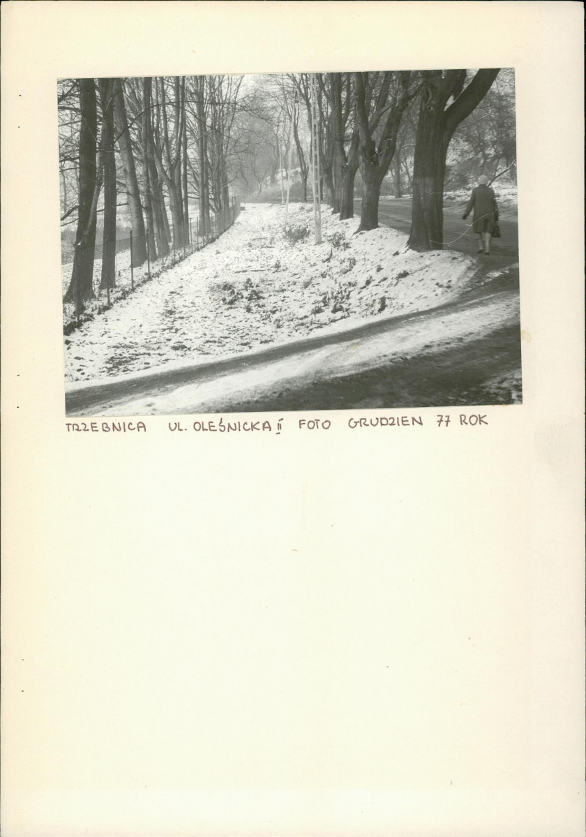 Ewidencja parkowa, skan nr 2