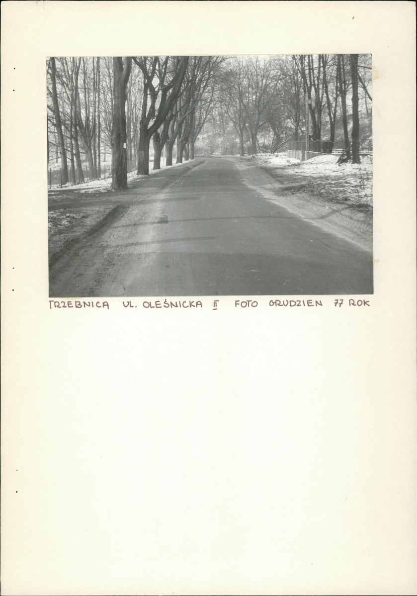 Ewidencja parkowa, skan nr 3