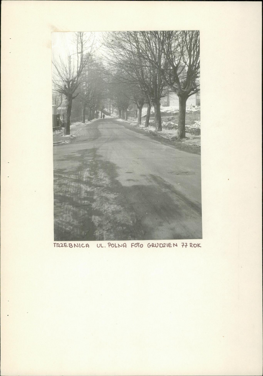 Ewidencja parkowa, skan nr 2