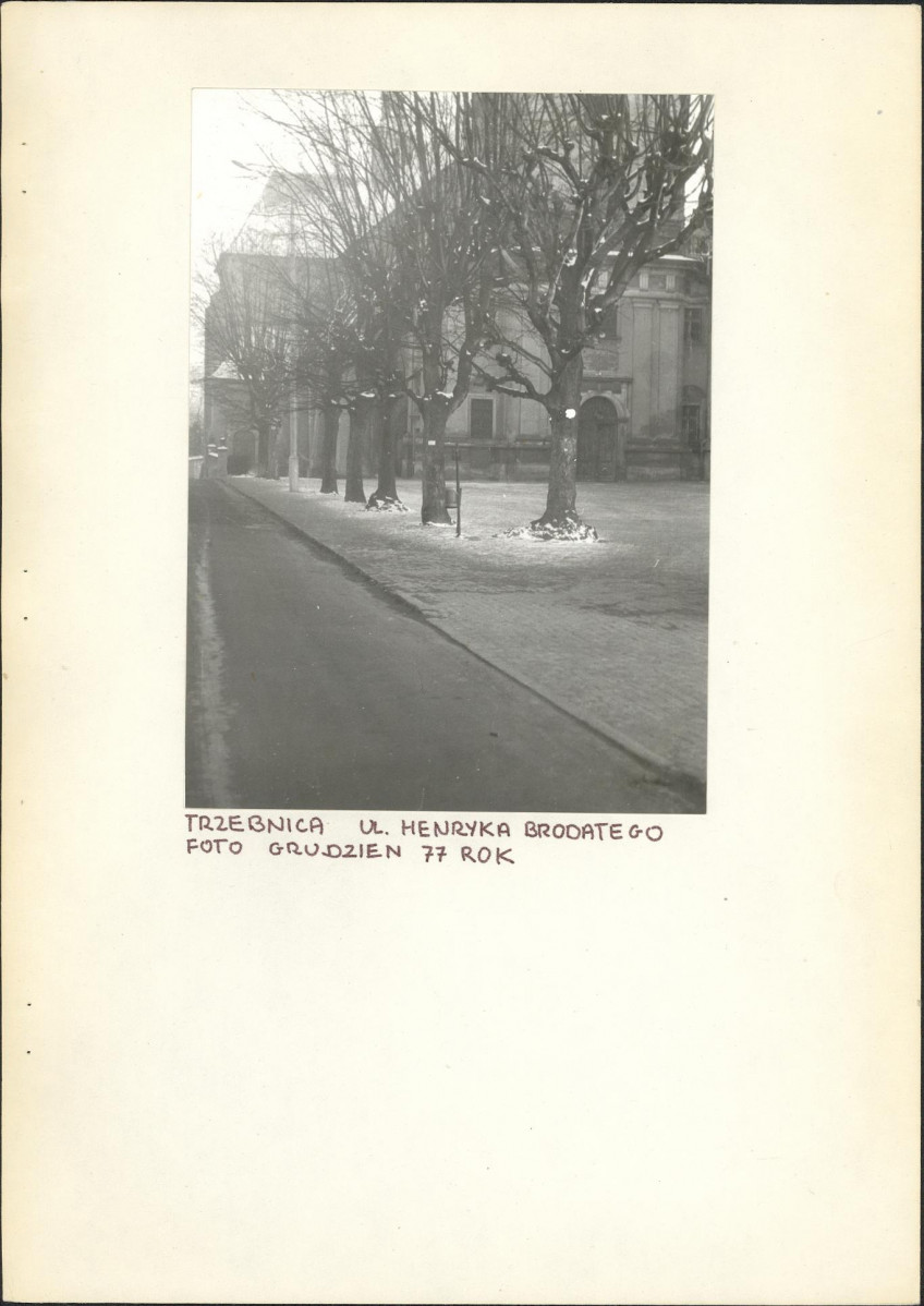 Ewidencja parkowa, skan nr 3