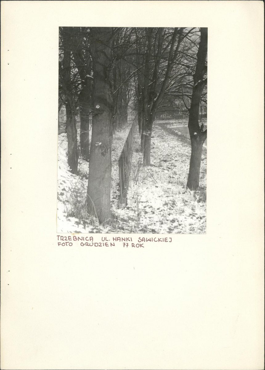 Ewidencja parkowa, skan nr 2