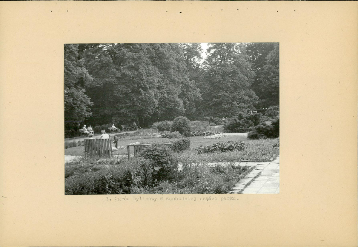 Ewidencja parkowa, skan nr 21