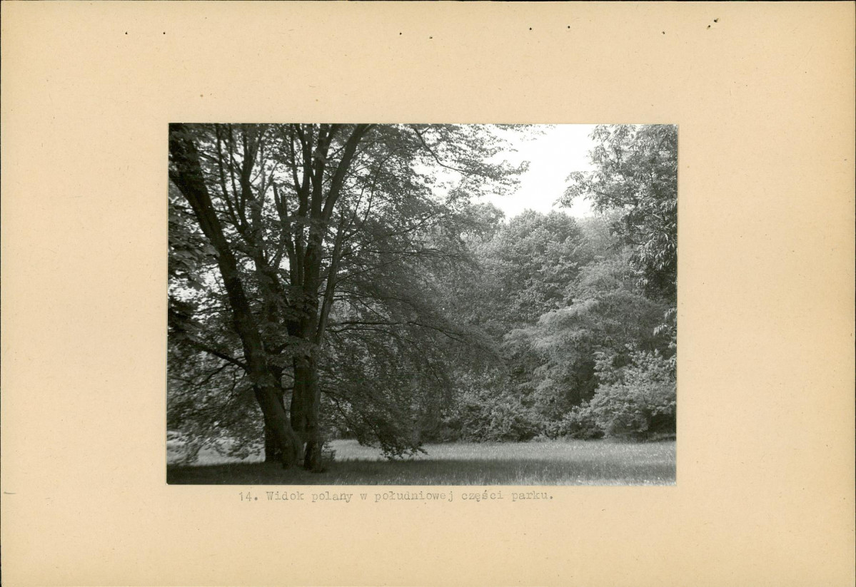 Ewidencja parkowa, skan nr 28