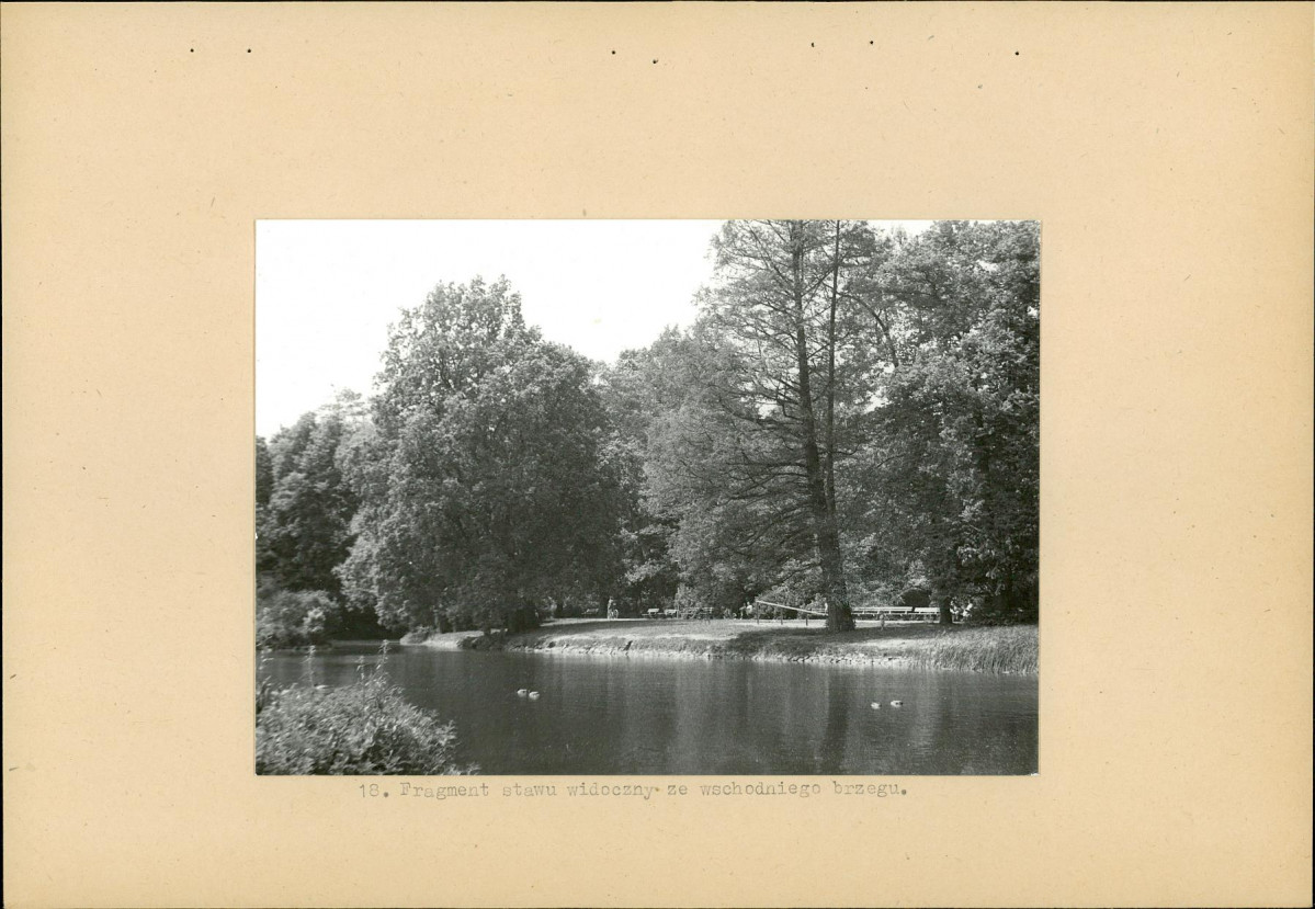 Ewidencja parkowa, skan nr 32