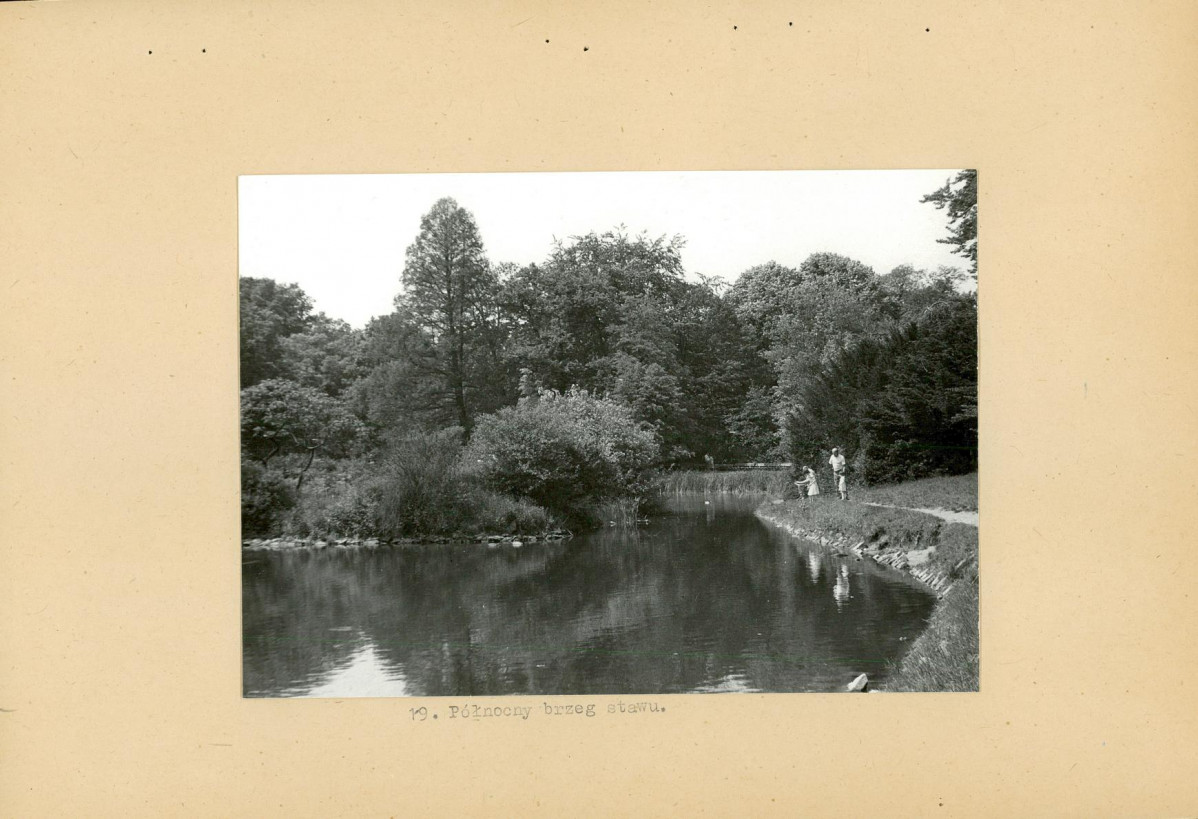 Ewidencja parkowa, skan nr 33