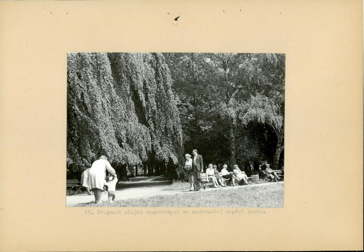 Ewidencja parkowa, skan nr 34