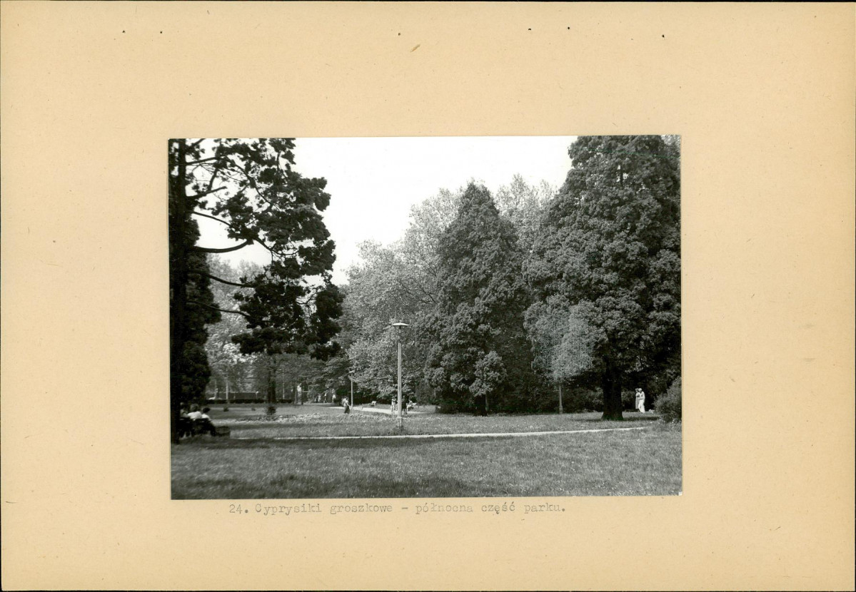 Ewidencja parkowa, skan nr 38