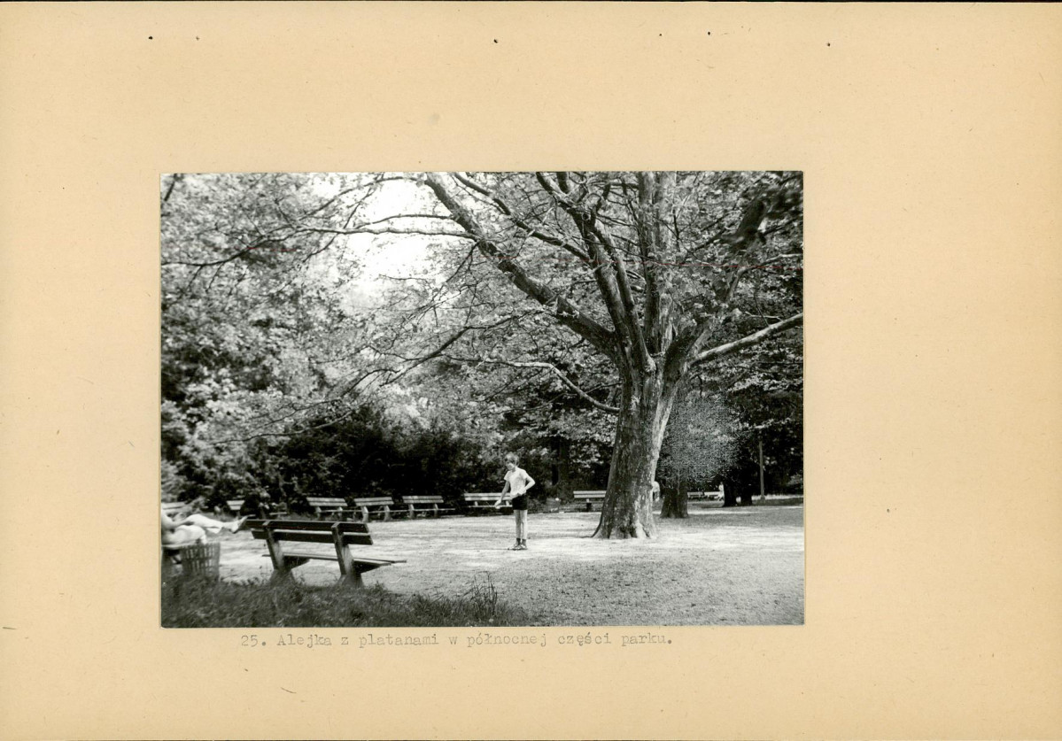 Ewidencja parkowa, skan nr 39