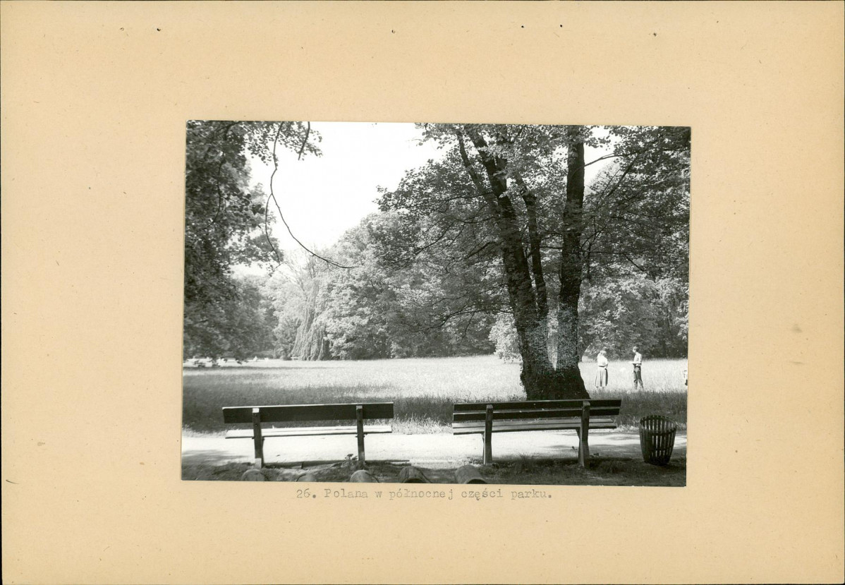 Ewidencja parkowa, skan nr 40