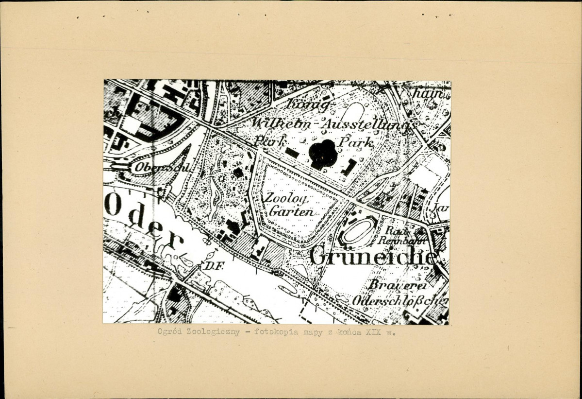 Ewidencja parkowa, skan nr 20