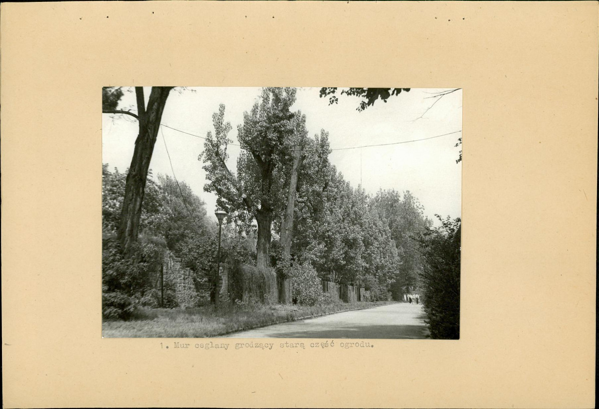 Ewidencja parkowa, skan nr 21