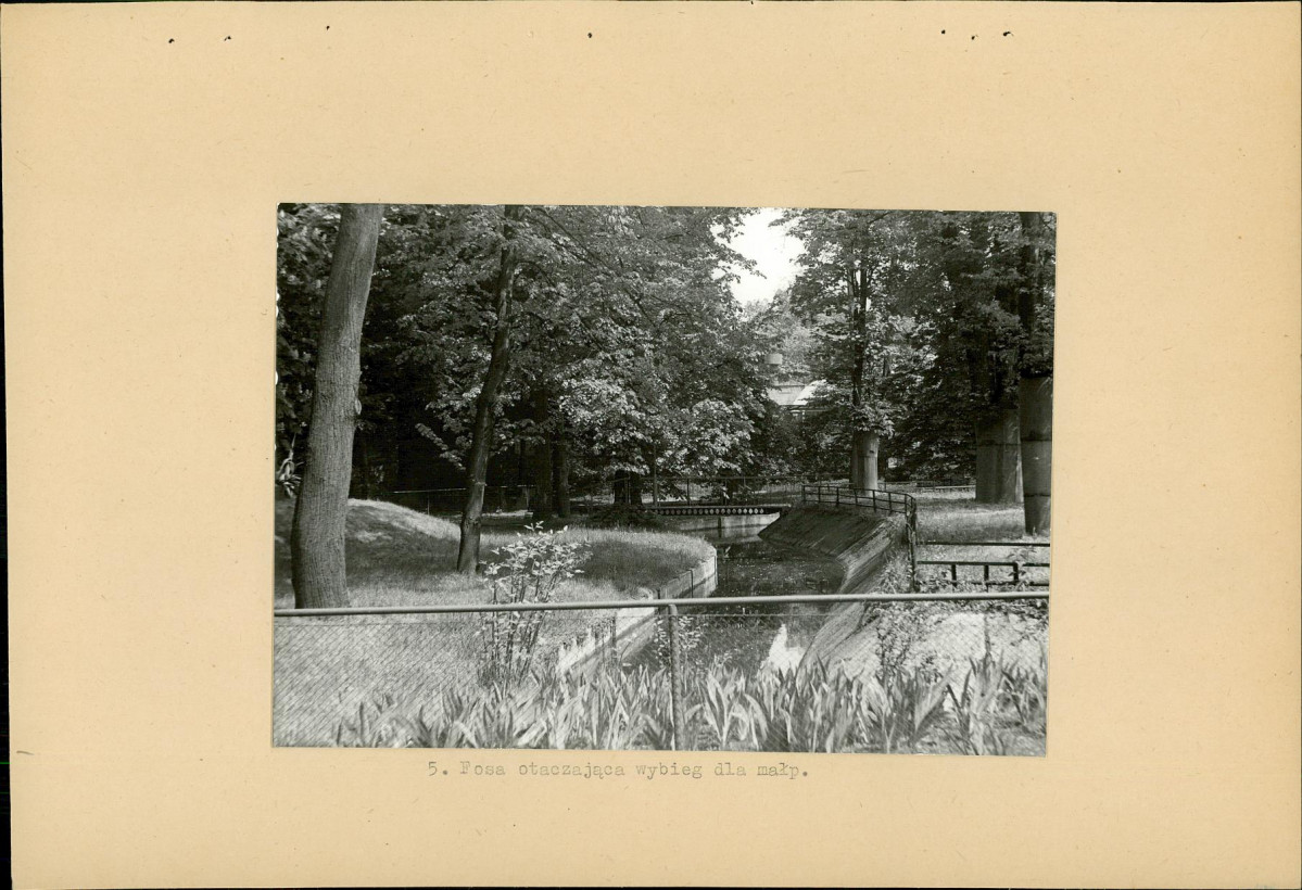 Ewidencja parkowa, skan nr 25