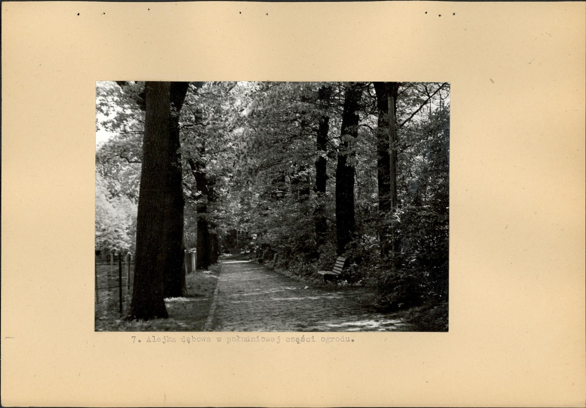 Ewidencja parkowa, skan nr 27