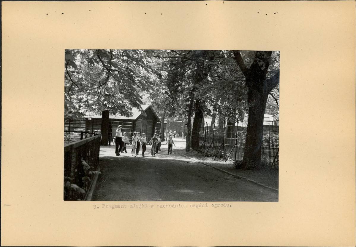 Ewidencja parkowa, skan nr 29