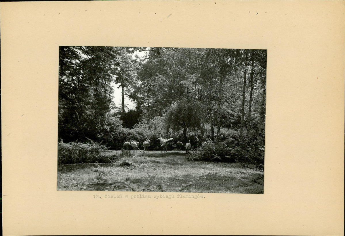 Ewidencja parkowa, skan nr 32