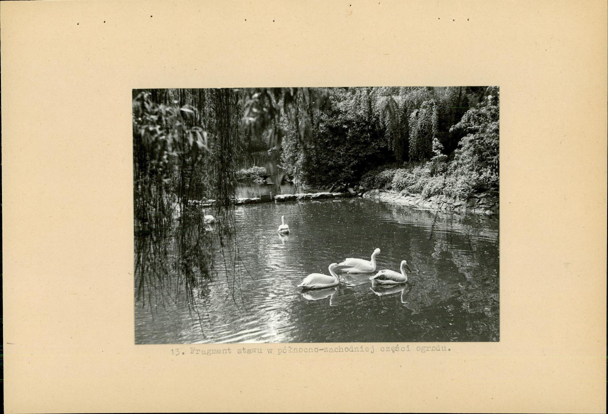 Ewidencja parkowa, skan nr 33