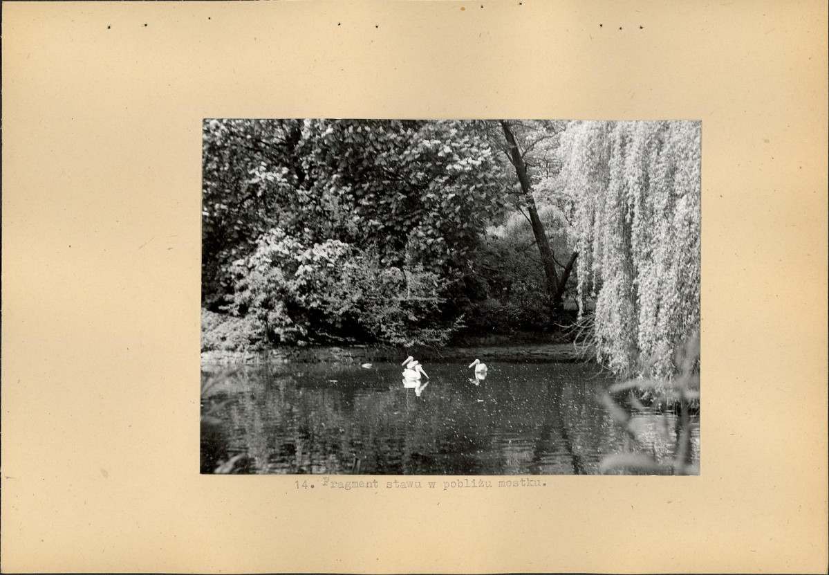 Ewidencja parkowa, skan nr 34