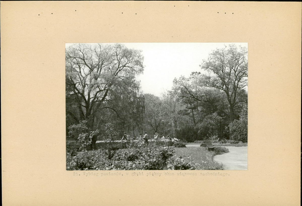 Ewidencja parkowa, skan nr 41