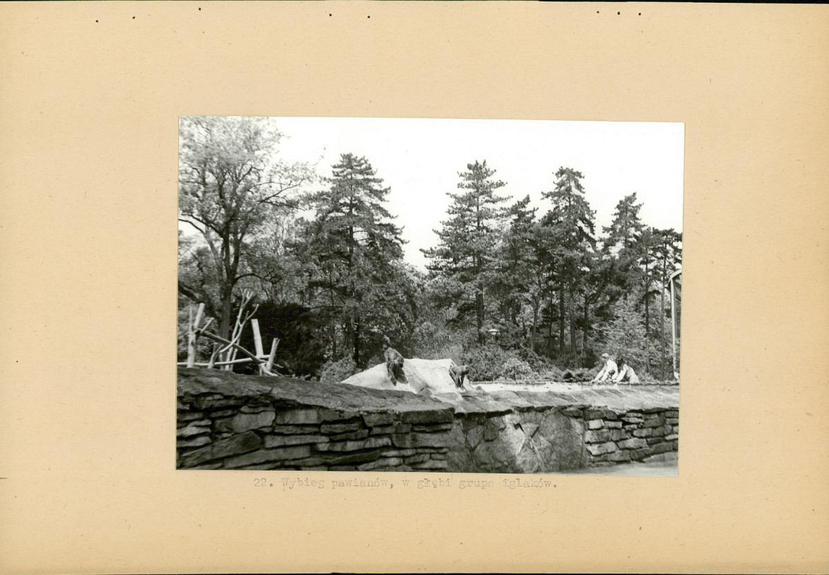 Ewidencja parkowa, skan nr 42