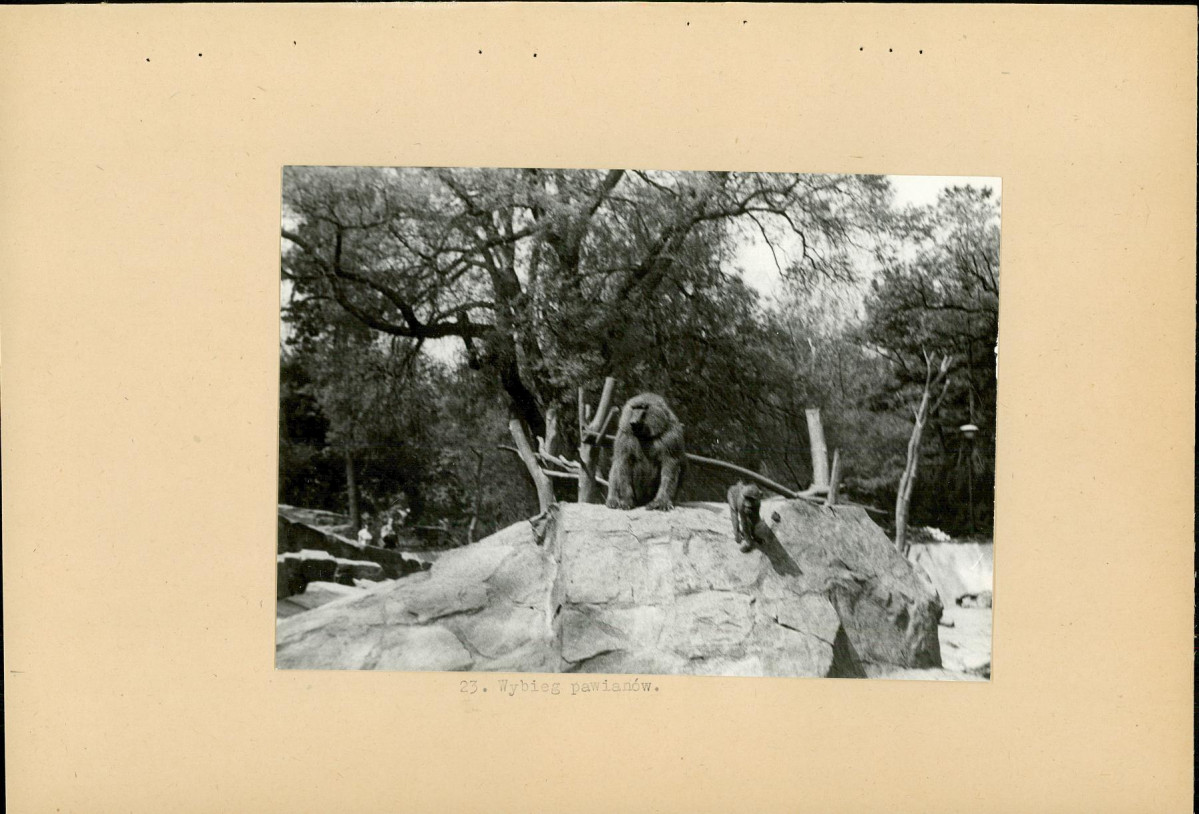 Ewidencja parkowa, skan nr 43