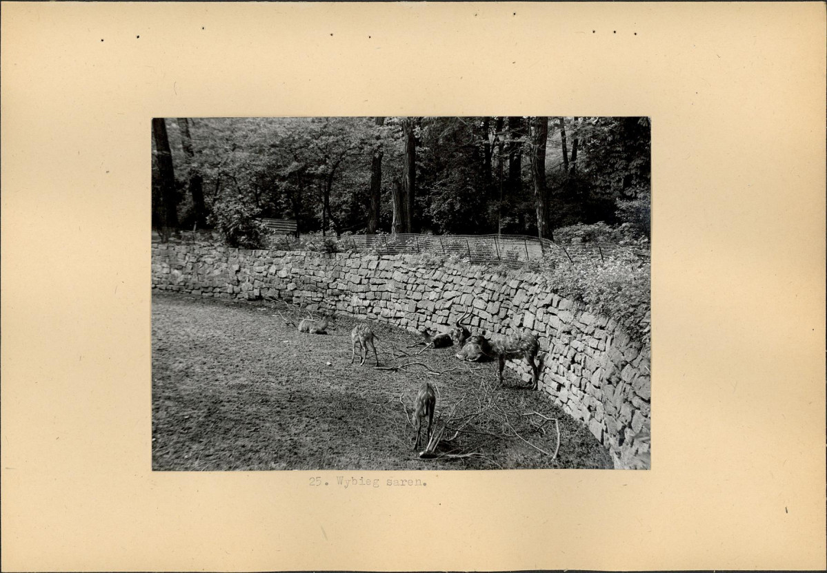 Ewidencja parkowa, skan nr 45