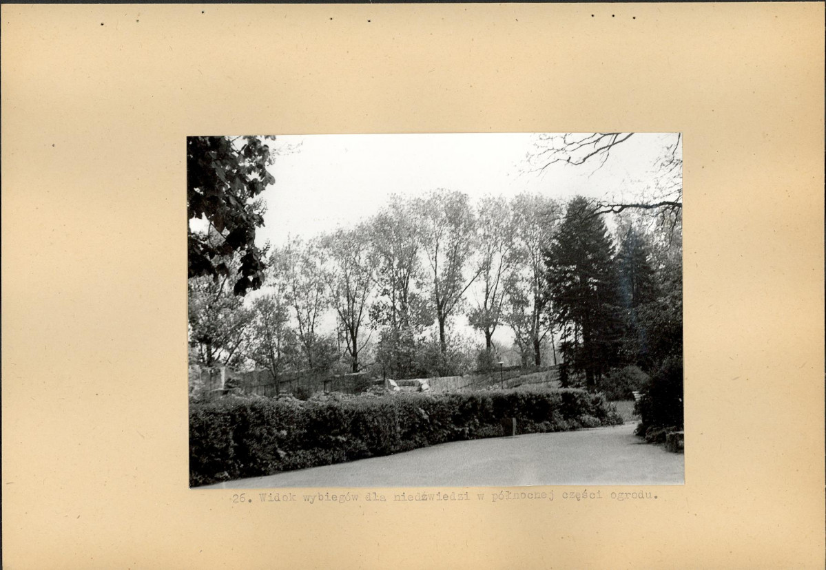 Ewidencja parkowa, skan nr 46