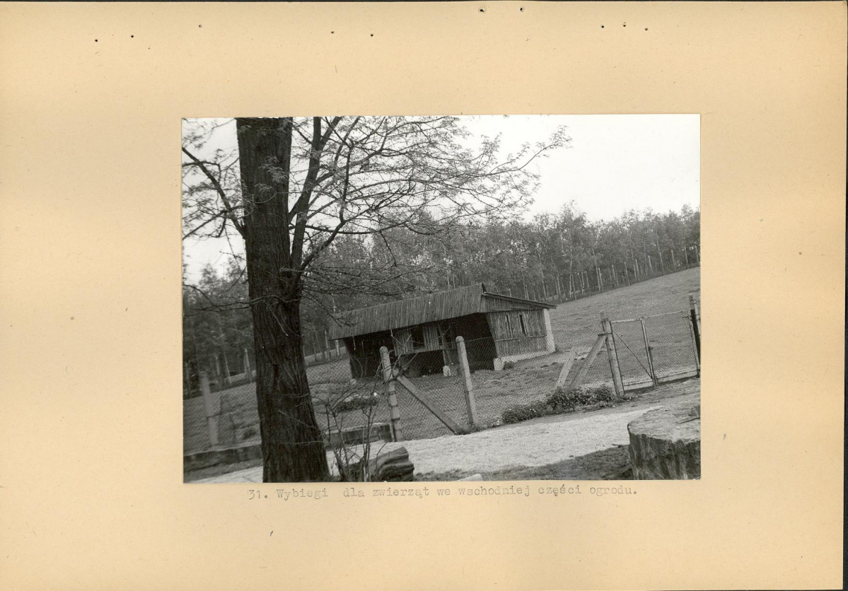 Ewidencja parkowa, skan nr 51