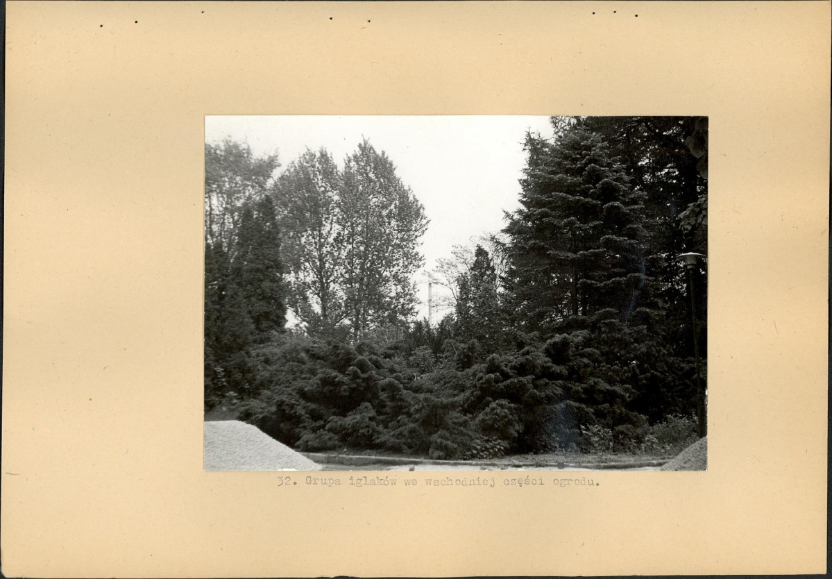 Ewidencja parkowa, skan nr 52