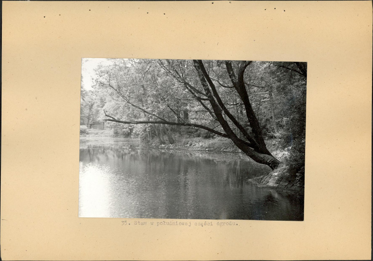 Ewidencja parkowa, skan nr 55