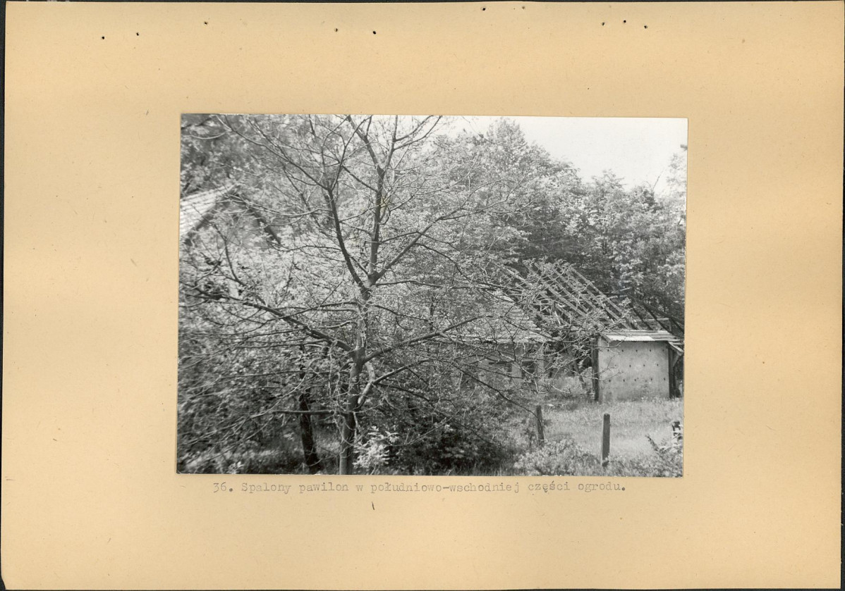 Ewidencja parkowa, skan nr 56