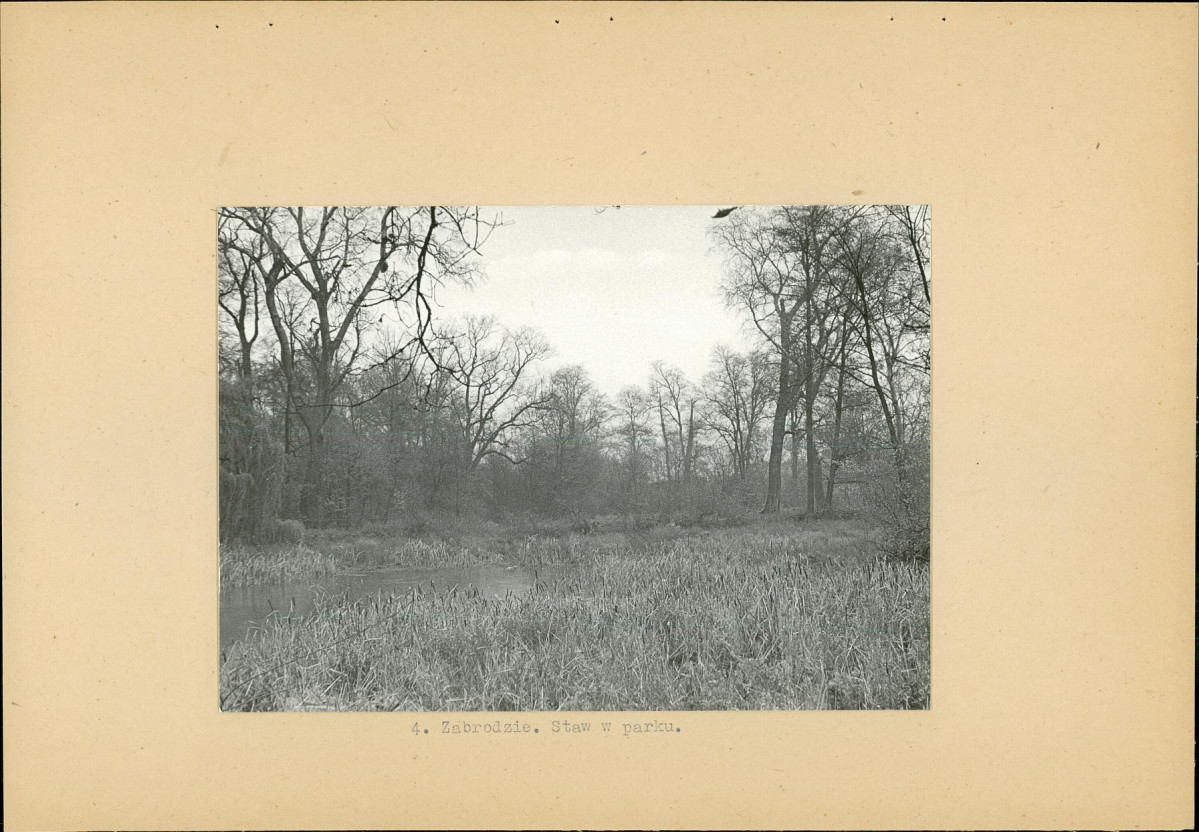 Ewidencja parkowa, skan nr 19