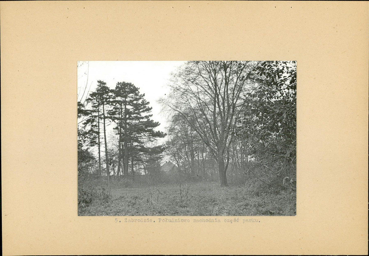 Ewidencja parkowa, skan nr 20