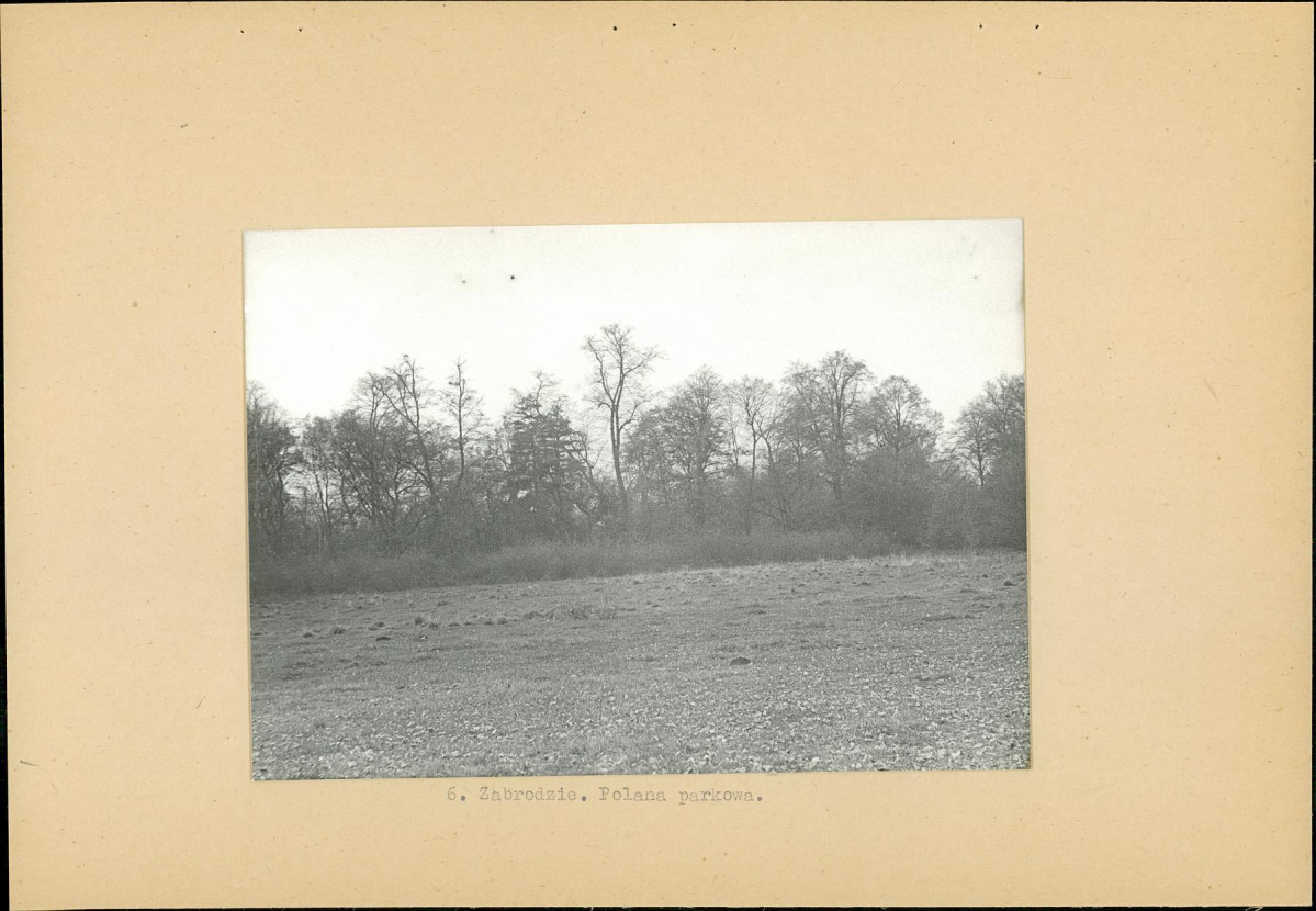 Ewidencja parkowa, skan nr 21