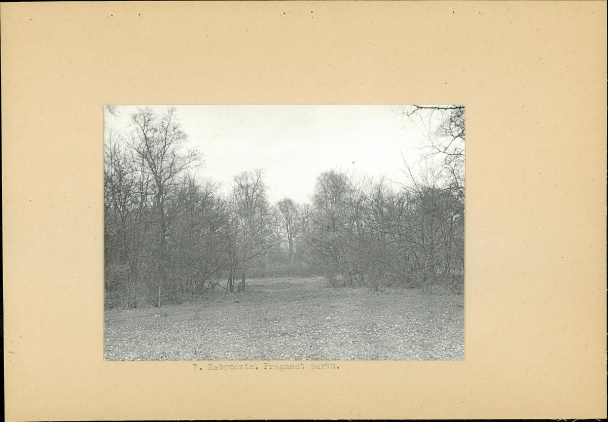 Ewidencja parkowa, skan nr 22