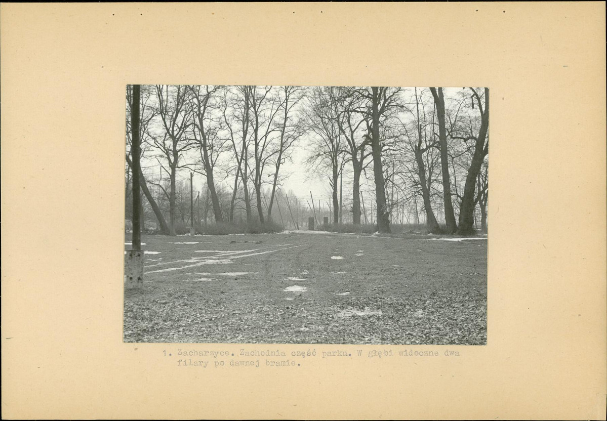 Ewidencja parkowa, skan nr 13