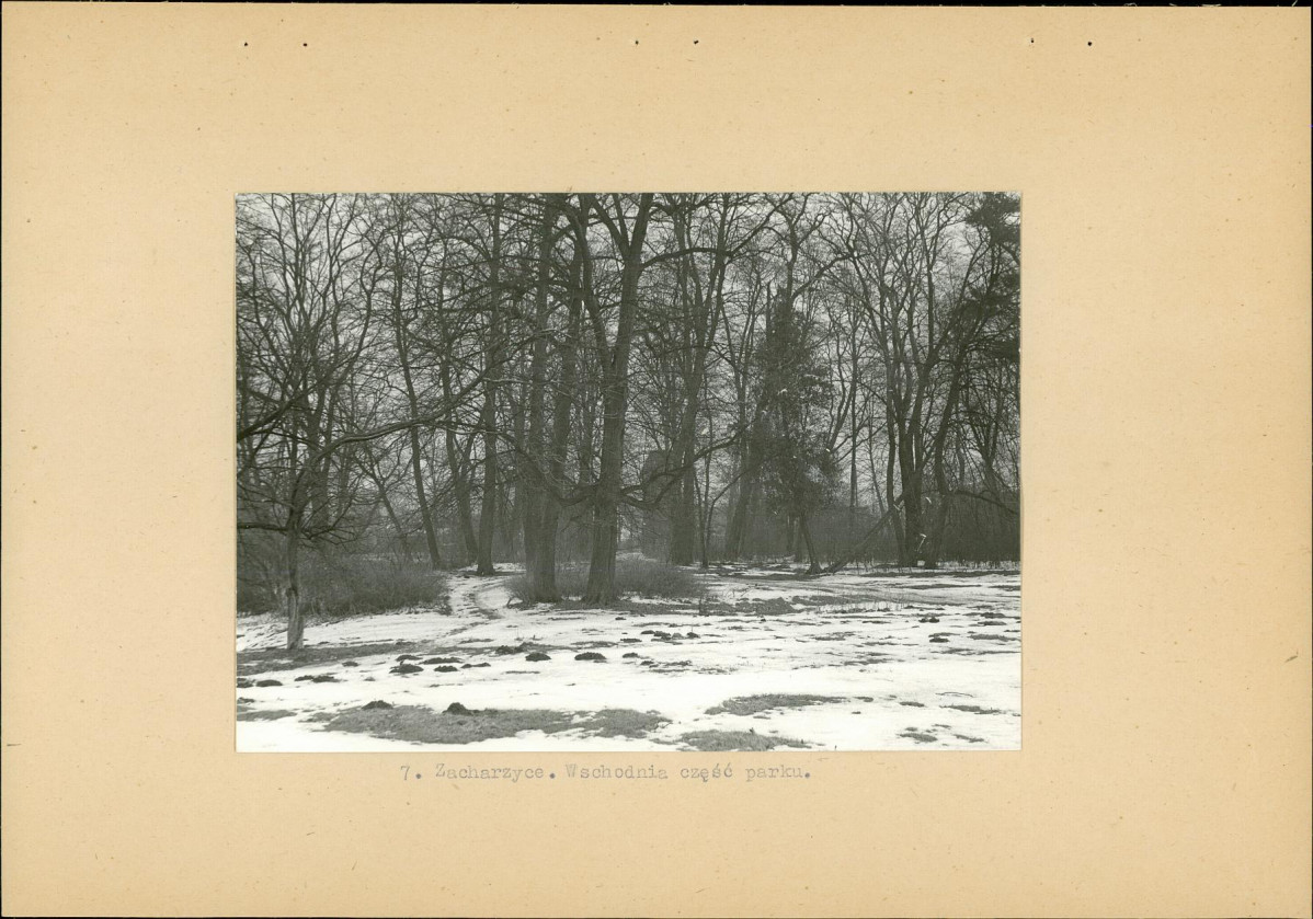 Ewidencja parkowa, skan nr 19