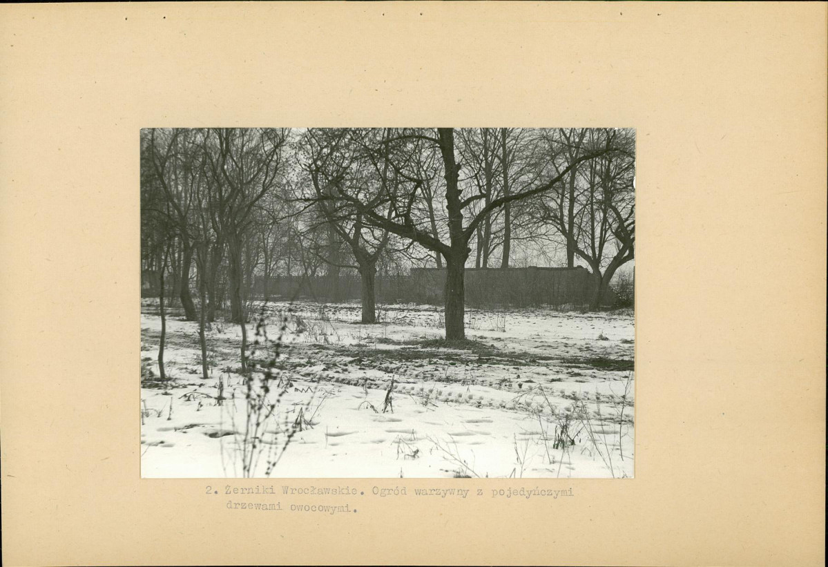 Ewidencja parkowa, skan nr 14