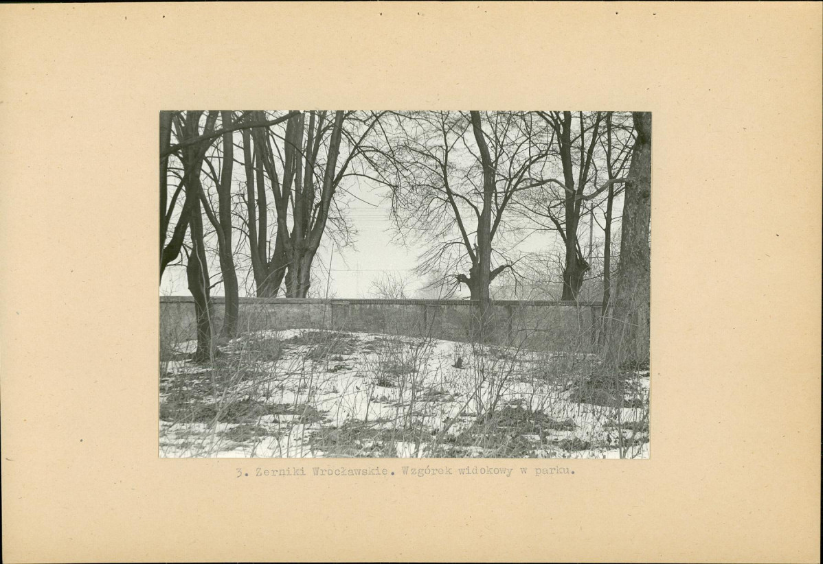 Ewidencja parkowa, skan nr 15