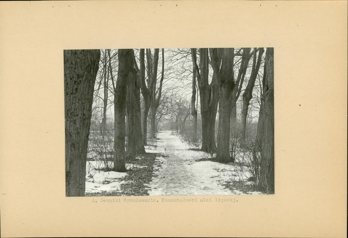 Ewidencja parkowa, skan nr 16