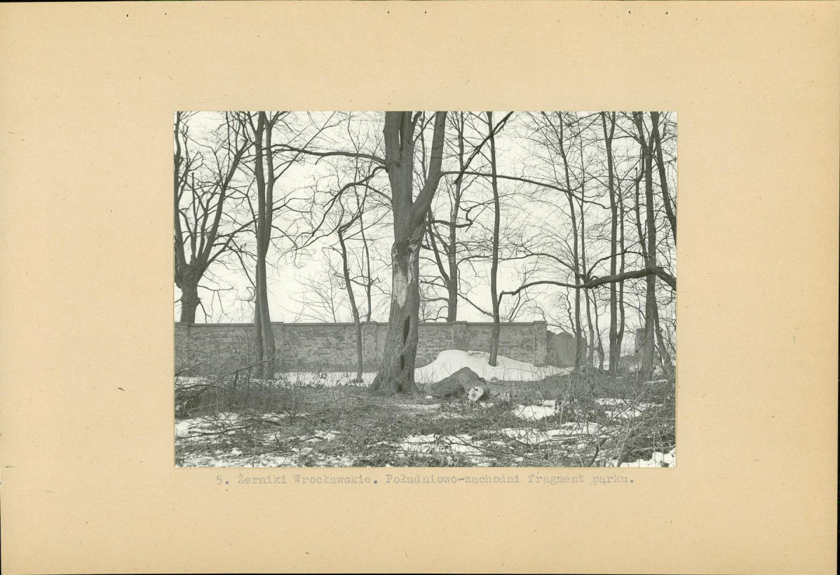 Ewidencja parkowa, skan nr 17